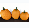 PU Foam Pumpkins Direct 