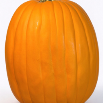 PU Foam Pumpkins for DIY Carvi
