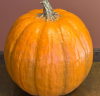Artificial PU Foam Pumpk